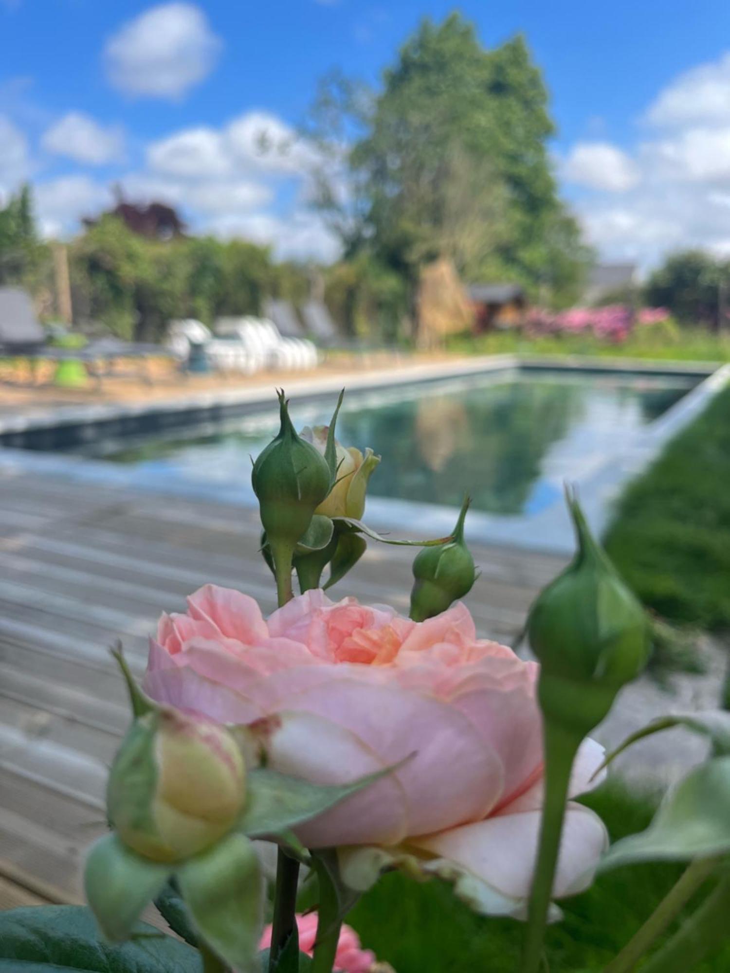 La_Grande_Guerais Bed & Breakfast Beaussais Sur Mer Dış mekan fotoğraf